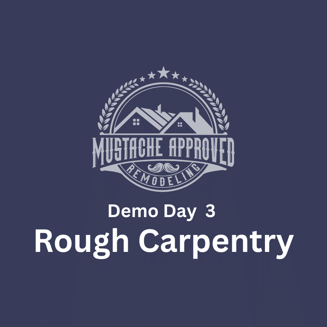 Rough carpentry stage of a bathroom remodel showing framing work during demo day three